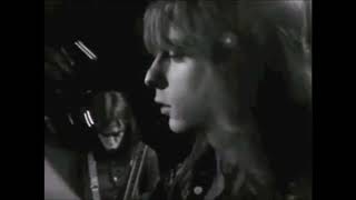 FLAMIN' GROOVIES - SHAKE SOME ACTION (1976) - HQ AUDIO VIDEO EDIT