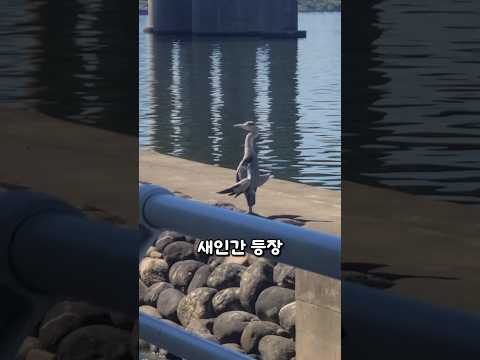 아이콘