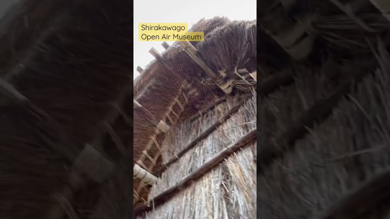 YouTube Short thumbnail