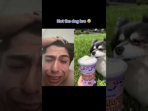 Danny Reacts To Dog Trying The Grimace Shake 😱