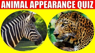 Animal Appearances Quiz |  Quiz Game for Kids, Preschoolers and Kindergarten
