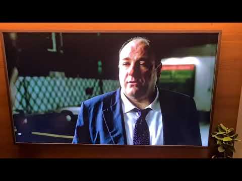 Sopranos little Carmine