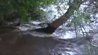 preview picture of video 'Credit River, Hidden Valley Park, Savage, MN 6/21/14'