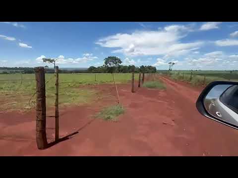 Fazenda de 6 Alqueires em Quirinópolis/GO - Oportunidade Incrível no Sudoeste Goiano!