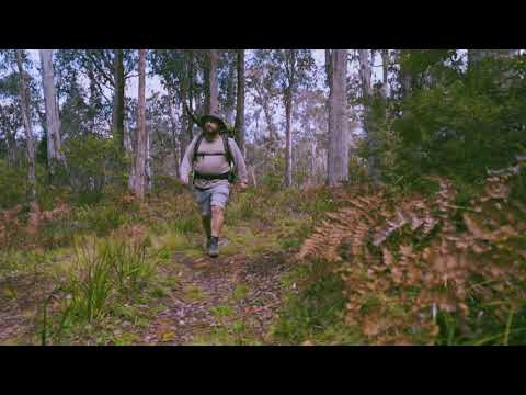 Barrington Tops State Forest