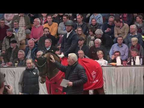 Bon Vivaldi NRW November 2019