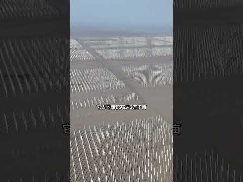 全球最大的海上光伏发电站，位于浙江温州，占地面积高达2万多亩，一经建成预计每年可发1亿多度电！#光伏发电 #光伏发电安装 #航拍