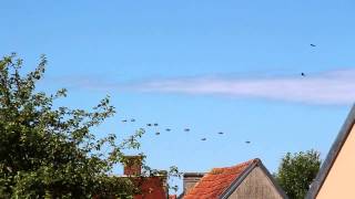 preview picture of video 'Sainte Mere Parachute Drops Part 8'