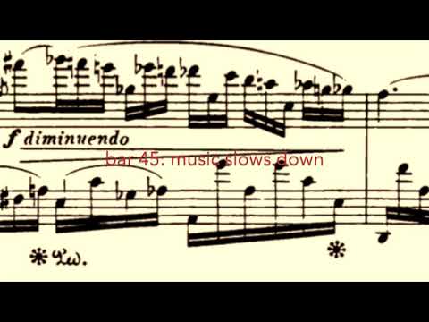 Rubato in Romantic Piano Music