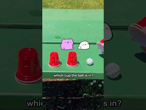 They are very smart 🧠 can you keep up? #animation #cat #cute