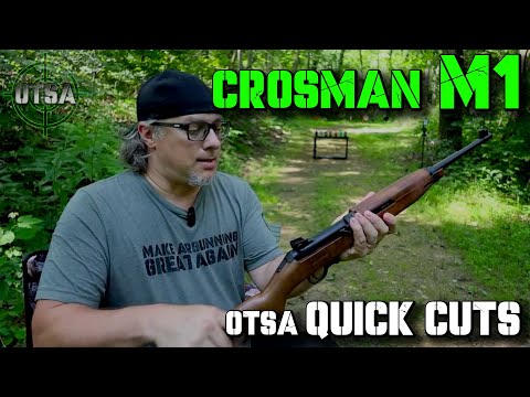 Crosman M1 BB Rifle - QUICK CUTS Short Review