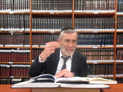 הרב יהושע ביבי - תשפ"ו - חנוכה - שיעור מס' 011 - מהות כוונת נח''ל והנפק''מ