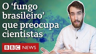 Miniatura do vídeo