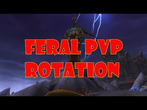 Feral PvP Rotation Guide MoP Patch 5.4
