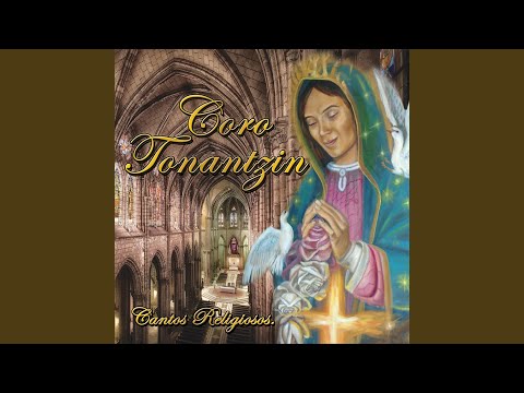 Señor Tu Eres el Pan