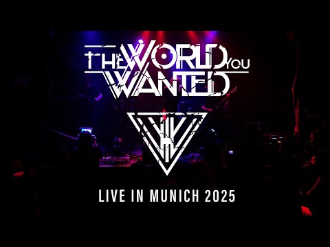 Concert Videography
