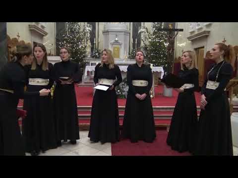 SNIVAJ ČEDO, Klapa Neverin u crkvi Uznesenja BDM Kaštel Lukšić