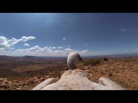 Ronny K. pres. Advanced - Atlantis