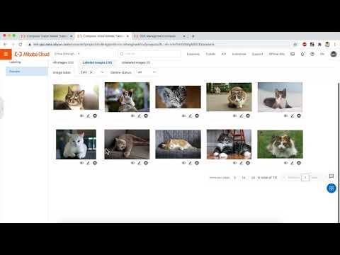 Artificial Intelligence | PAI AutoLearn Demo
