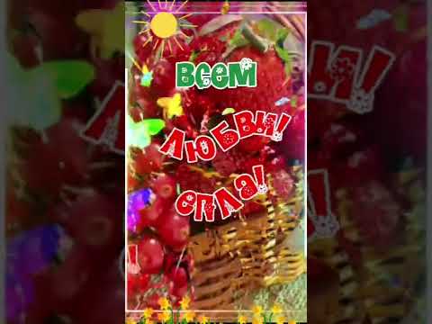 Всем солнечного Лета, любви и счастья💖
