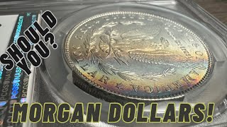 Should You Be BUYING Morgan Silver Dollars? #morgansilverdollar