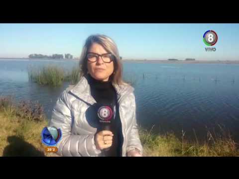 23/05/2017 Teleocho: Inundaciones de Cavanagh y Guatimozin