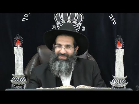 הלכות טריפות - ו' - צלעות, רגליים ופרקים | יורה דעה - סימן נד - נה | חלק 12 | הרב שי עובד