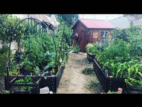 , title : 'garden tour part 1 - Southern California Gardening'
