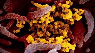 Glynn County hitting 505 cases of COVID-19