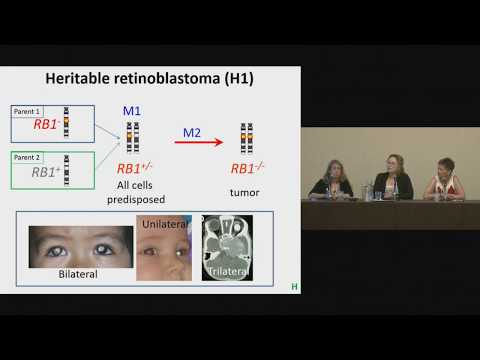 One Retinoblastoma World 2017: Genetics