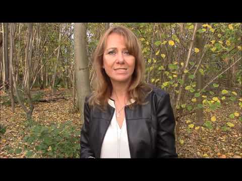 Dana Dewin - Das ist Sehnsucht -  Laura Wilde (Coversong von Dana Dewin)