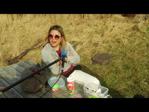 Vogelverschrikkers op Suikerunieterrein