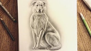 Drawing My Dog, Oliver | Katelyn Zoss