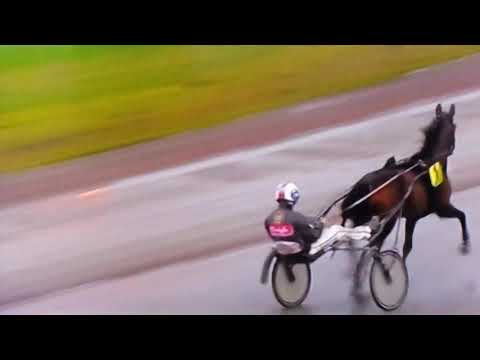 Åby Stora Pris Skiljeheat Midnight Hour Finland