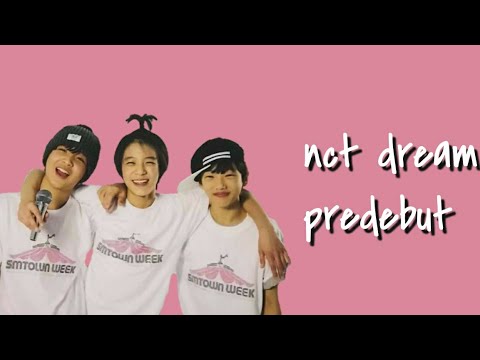 nct dream predebut gold moments
