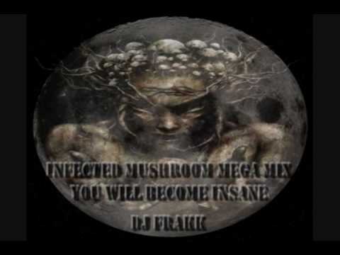 Dj FraKk - Infected Mushroom MEGA MIX (You WILL Become Insane)