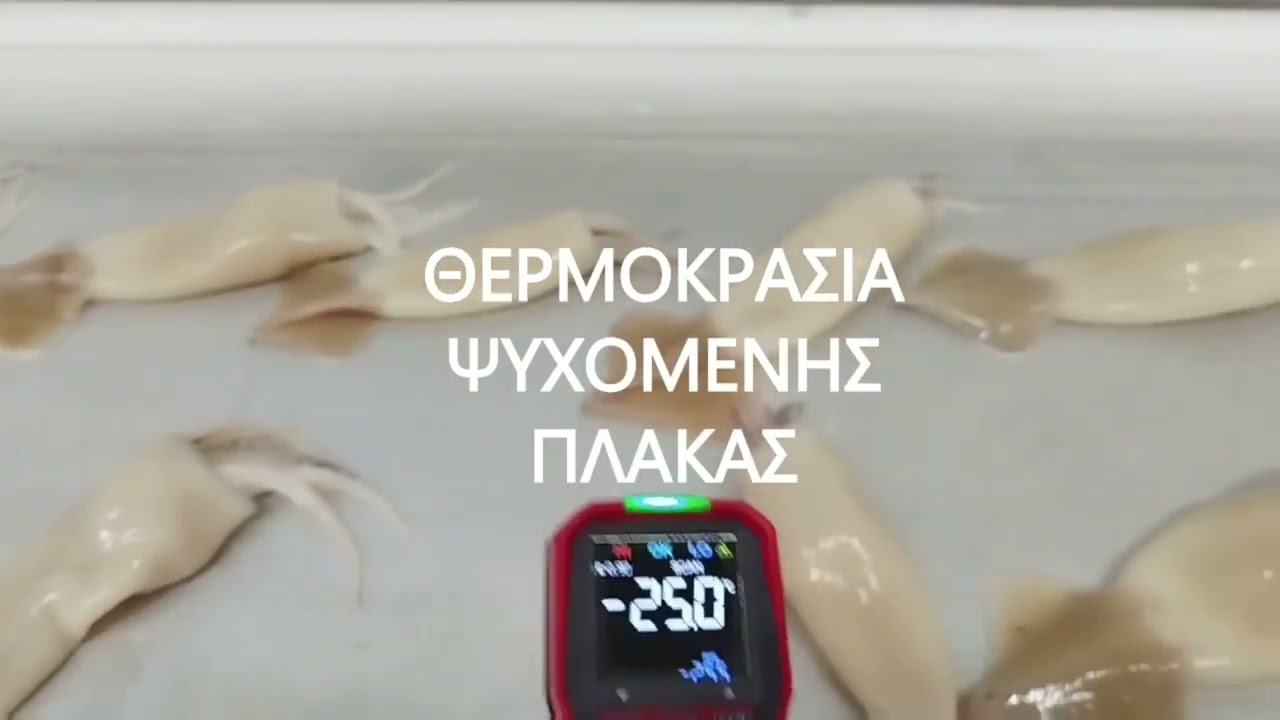 Εγκατάσταση Γραμμής Παραγωγής