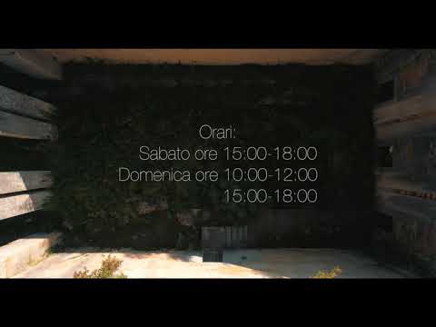 PROMO MOSTRA PINZANO