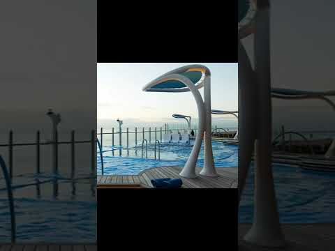 Thumbnail for Carnival Festivale The Inside Look #shorts