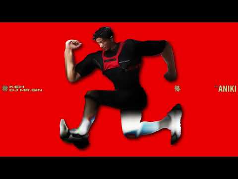 DJ MR.GIN - ANIKI  Official Visualizer