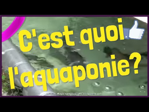 comment monter systeme hydroponique