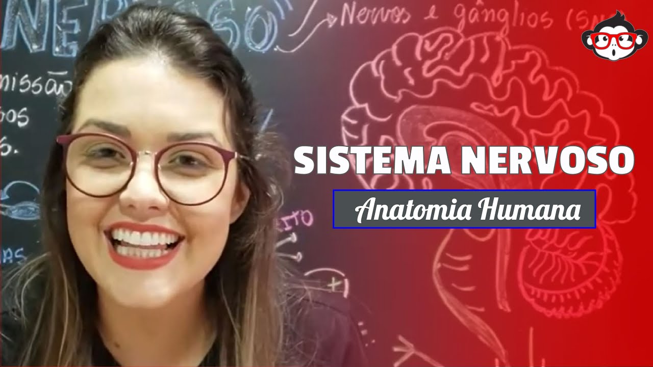 Anatomia Humana | Sistema Nervoso 🐵📚