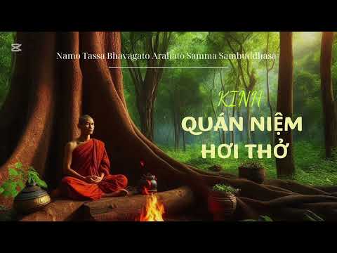 Kinh Quán Niệm Hơi Thở - Anapanasati Sutta