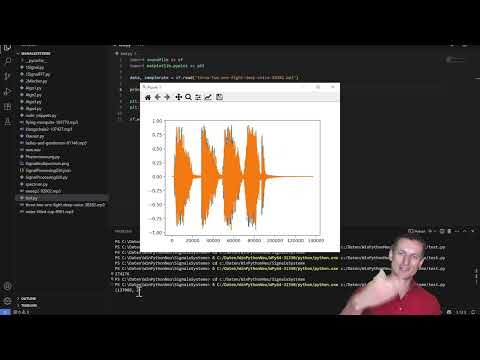 Signale und Systeme - Digitale Signalverarbeitung - Umgang mit Audiodateien in Python
