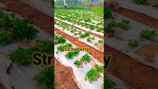 Download lagu https://youtu.be/41iPLdIex1Y?si=N65zqTxUAnQZ0fkQ mp3 Download lagu https://youtu.be/41iPLdIex1Y?si=N65zqTxUAnQZ0fkQ mp3