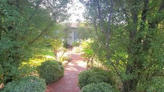 How Plants Block Your Good Luck