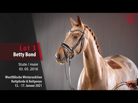 Trainingsvideo Winterauktion Lot 3 Betty Bond Stute v. Bernay - Rotspon