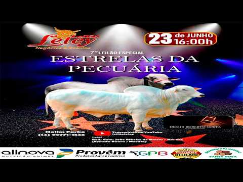 Leilão Leley - AO VIVO - 23/06/2026 7º Estrelas da Pecuária #leilaodegado #leilaoaovivo #gado