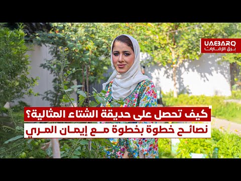 كيف تحصل على حديقة الشتاء المثالية؟ نصائح خطوة بخطوة مع إيمان المري. 