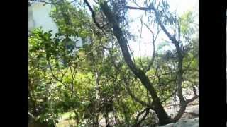 Nude Beach OttoBotsVlog #66